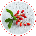 berberine glucose support
