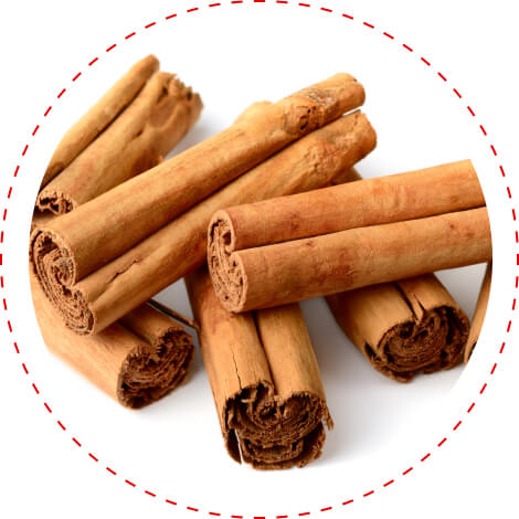 organic ceylon cinnamon