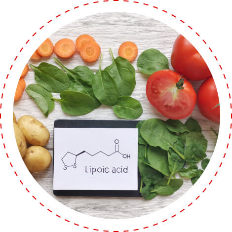 alpha lipoic antioxidant